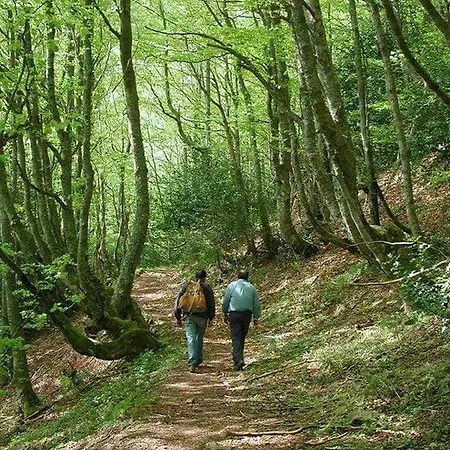 Apartamento Brana El Revellon Senda Del Oso Apartmán San Martin (Asturias)