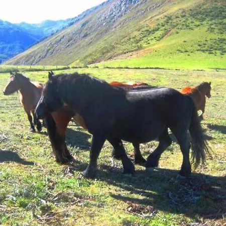 Apartamento Brana El Revellon Senda Del Oso * San Martin (Asturias)