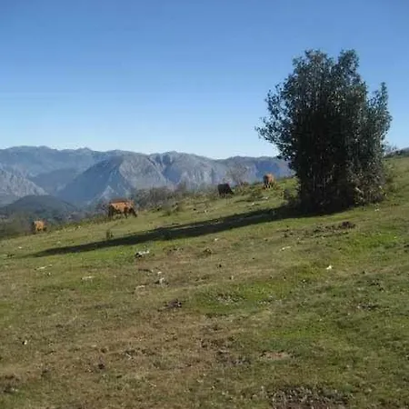 Apartamento Brana El Revellon Senda Del Oso San Martin (Asturias)