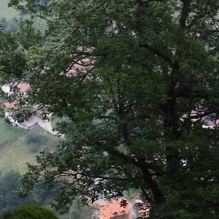 Apartamento Brana El Revellon Senda Del Oso Apartmán San Martin (Asturias)